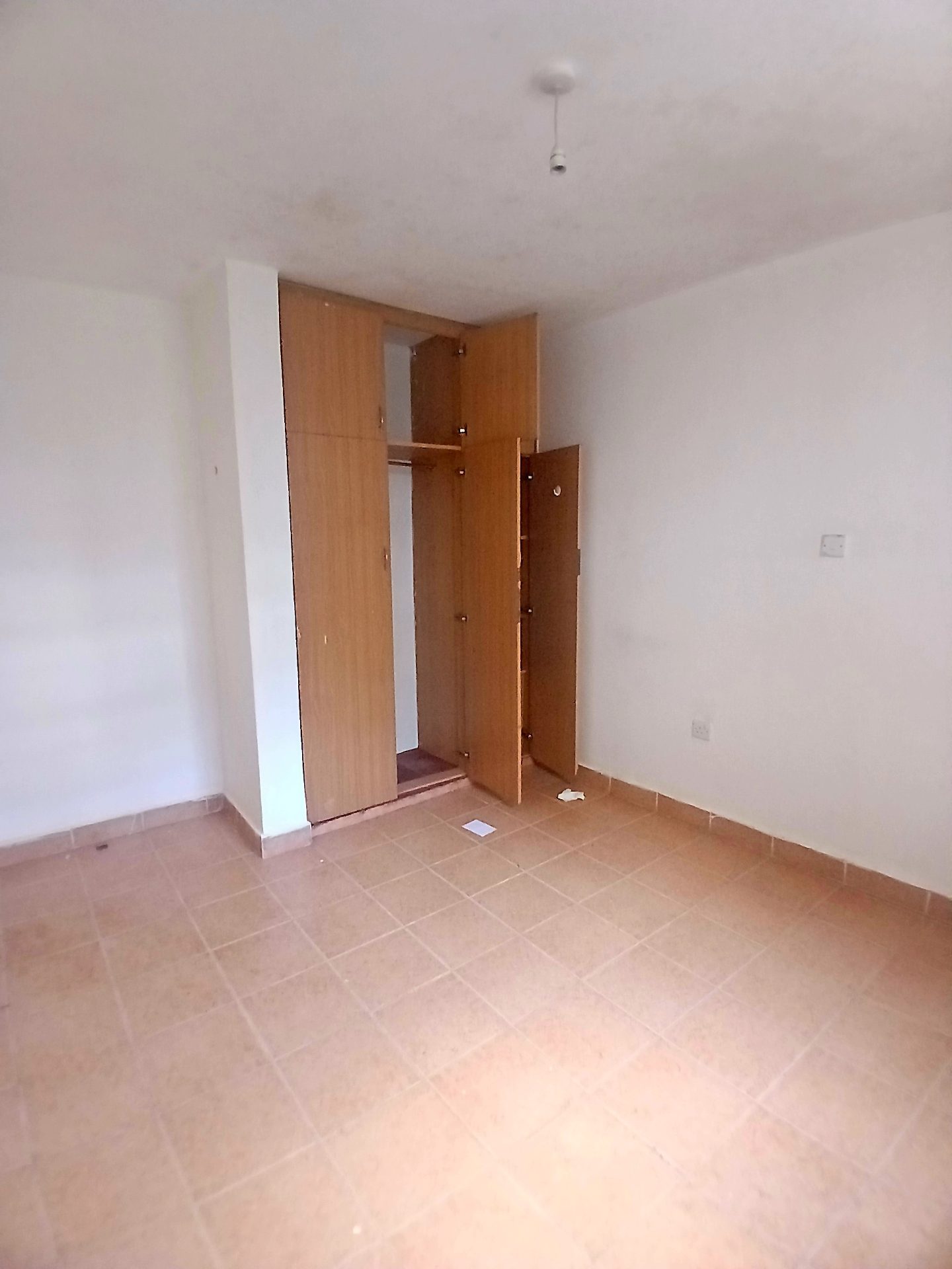 Felina Court Apartments – photo 7