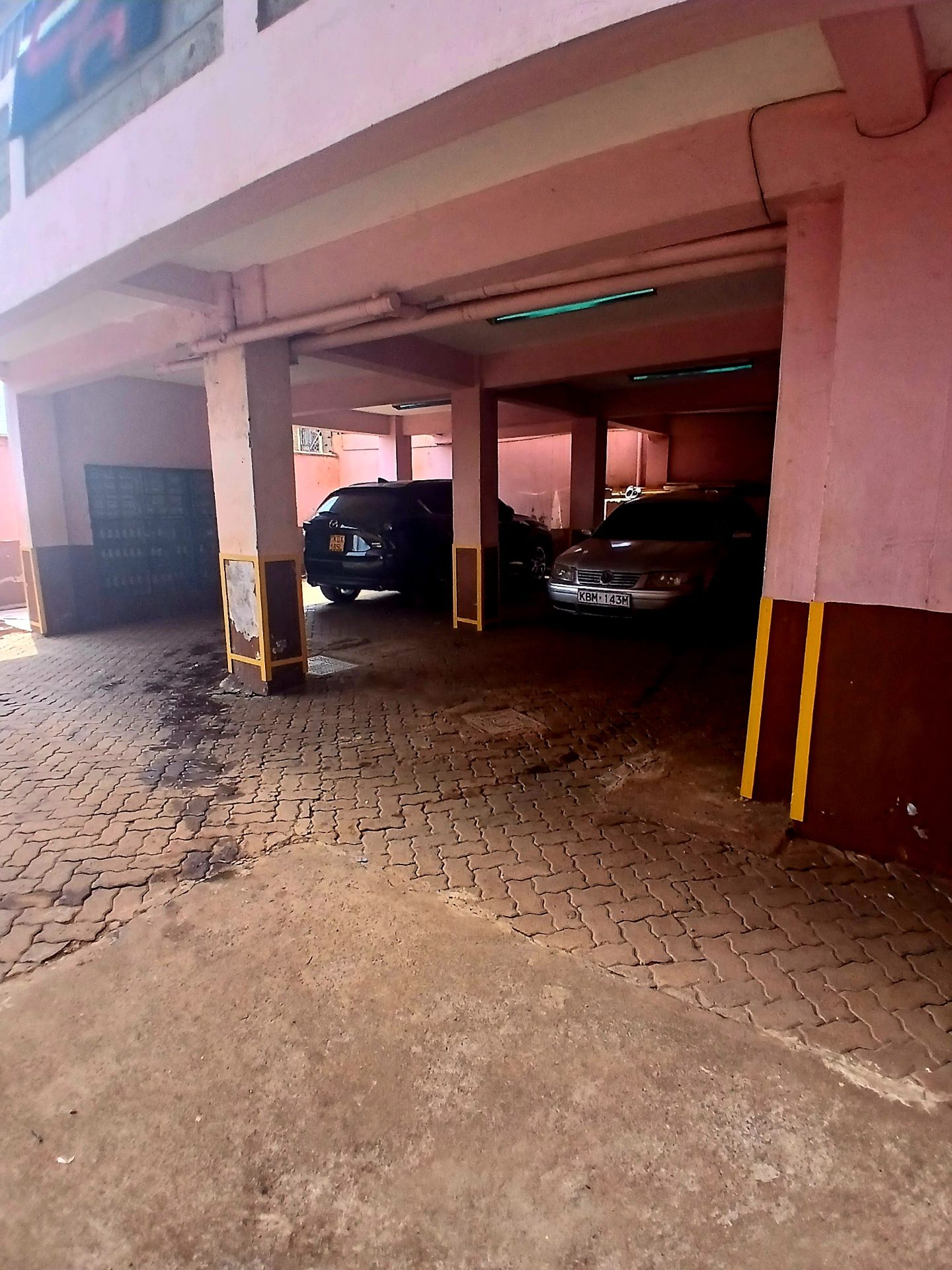 Felina Court Apartments – photo 3