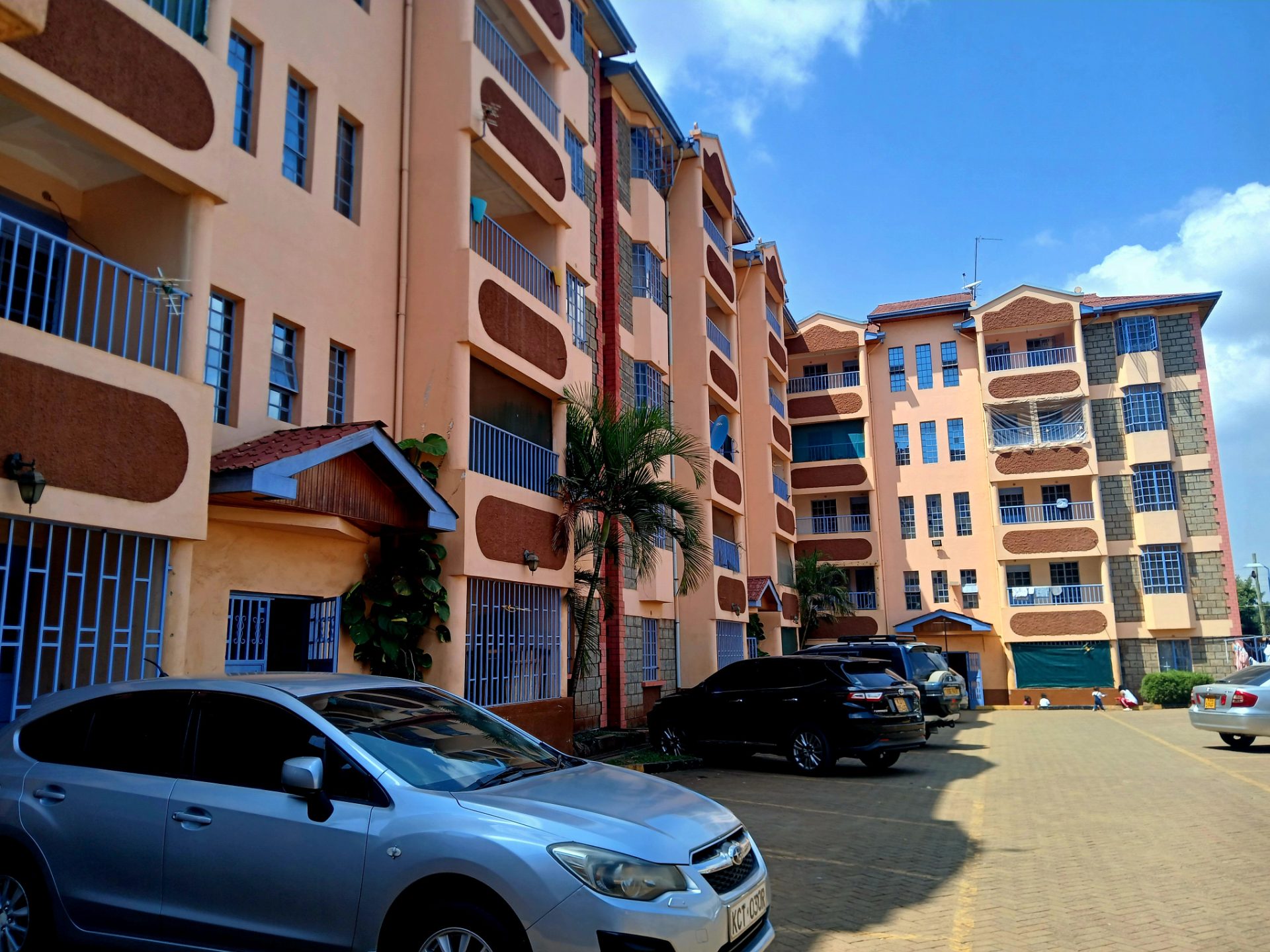 Royal Palm Paradise
