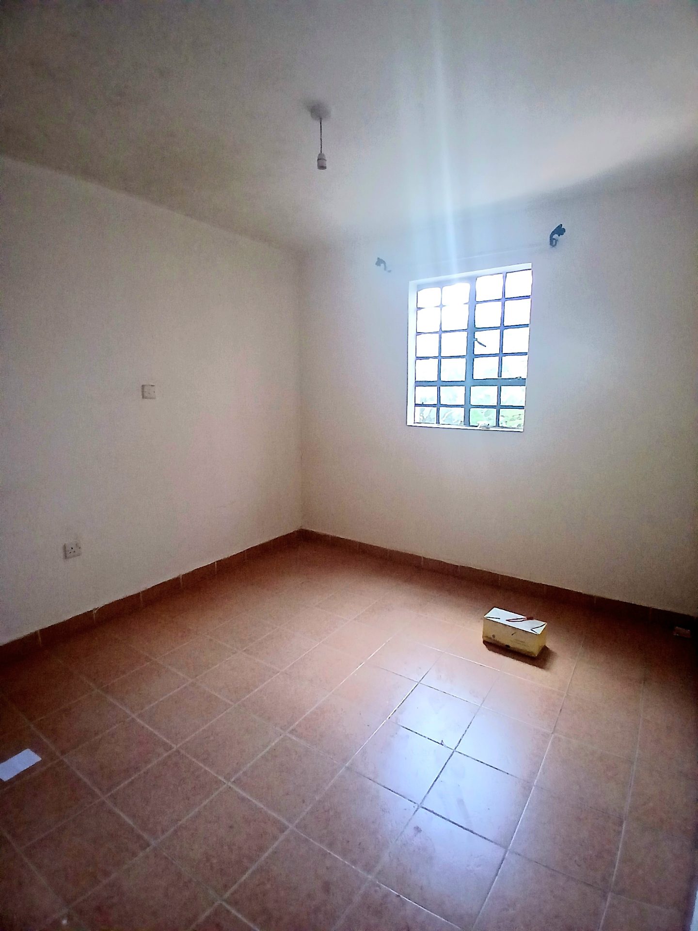 Felina Court Apartments – photo 6