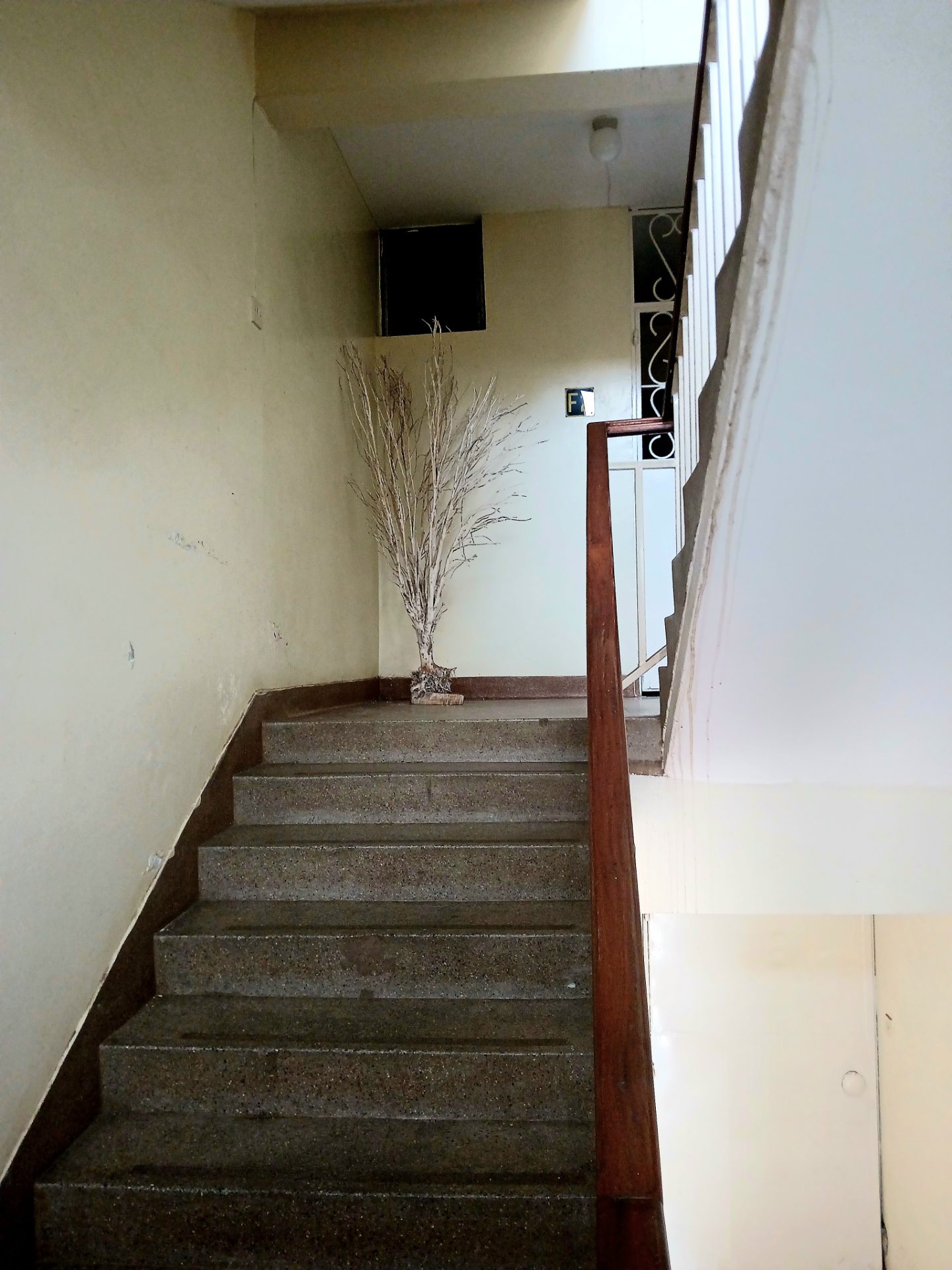 228 – photo 2