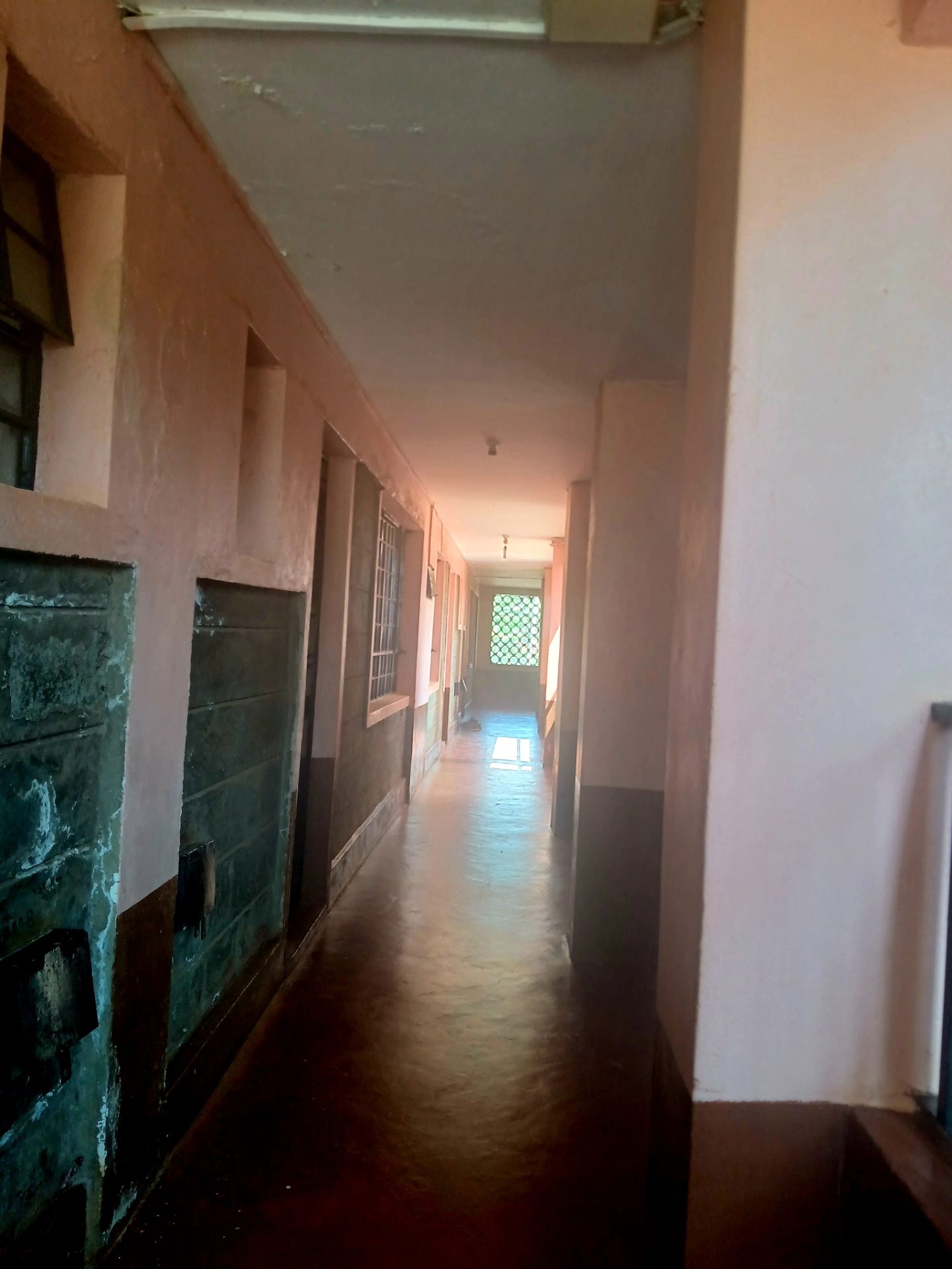 Felina Court Apartments – photo 5